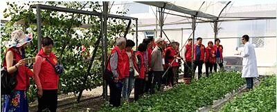 蔬菜種子，幾百萬(wàn)種植戶(hù)的選擇