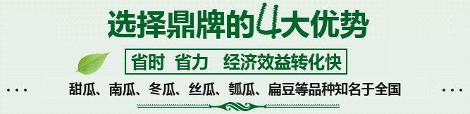 購(gòu)買(mǎi)蔬菜種子，選擇鼎牌的四大優(yōu)勢(shì)