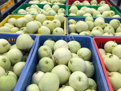 蔬菜種子種植戶客戶點評-5元1斤，這個新品種真香甜！