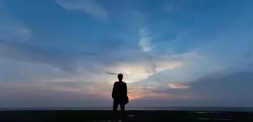 雇工難、成本高，想種甜瓜怎么辦？