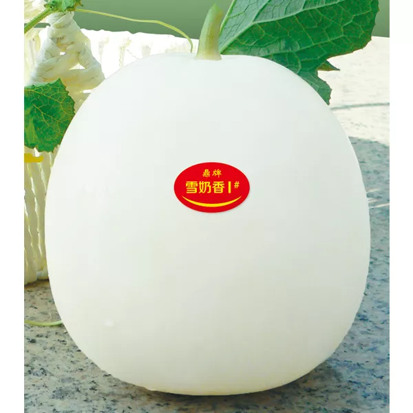 薄皮甜瓜，哪個(gè)品種最好呢？畝產(chǎn)高達(dá)10萬(wàn)，附4種市場(chǎng)爆款品種