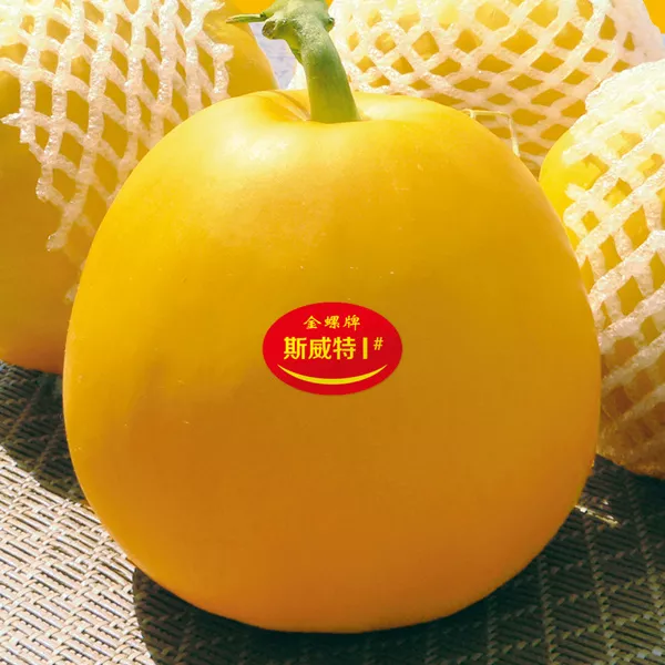 薄皮甜瓜，哪個(gè)品種最好呢？畝產(chǎn)高達(dá)10萬(wàn)，附4種市場(chǎng)爆款品種