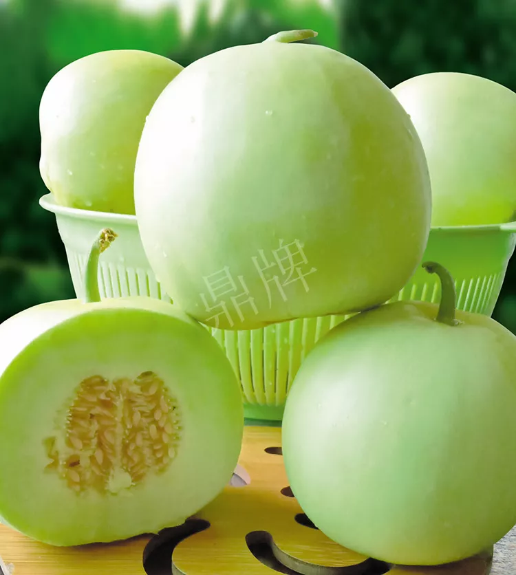 7元一斤還遭瘋搶，畝收益超2萬(wàn)元！到底什么甜瓜能這么牛？