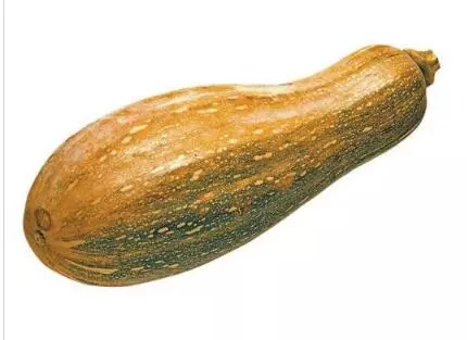 知道最甜最面的南瓜品種嗎？盤點十種有營養(yǎng)的甜面南瓜...