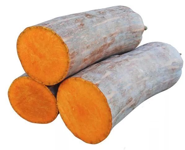 生吃都好吃南瓜新品種，沒有大肚子，肉質(zhì)更密致，農(nóng)戶試種下