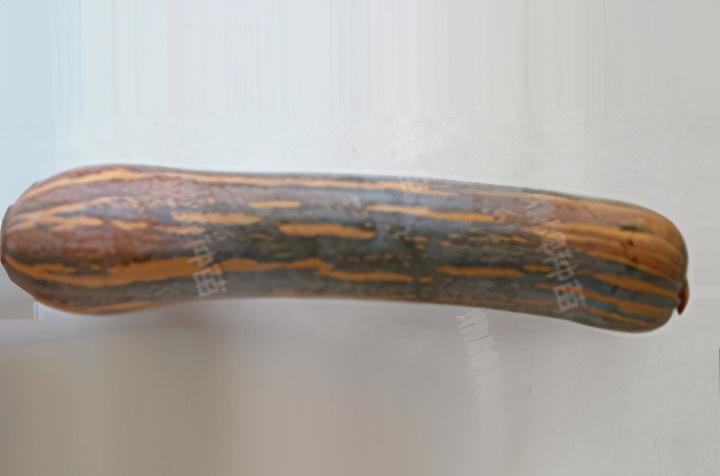 2020年，市面上的南瓜品種哪個口感最好、最甜、最值得種植？