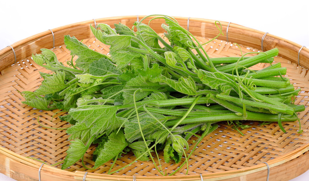 種這種綠葉菜，栽培輕松，畝產(chǎn)值過萬元，菜農(nóng)表示很劃算