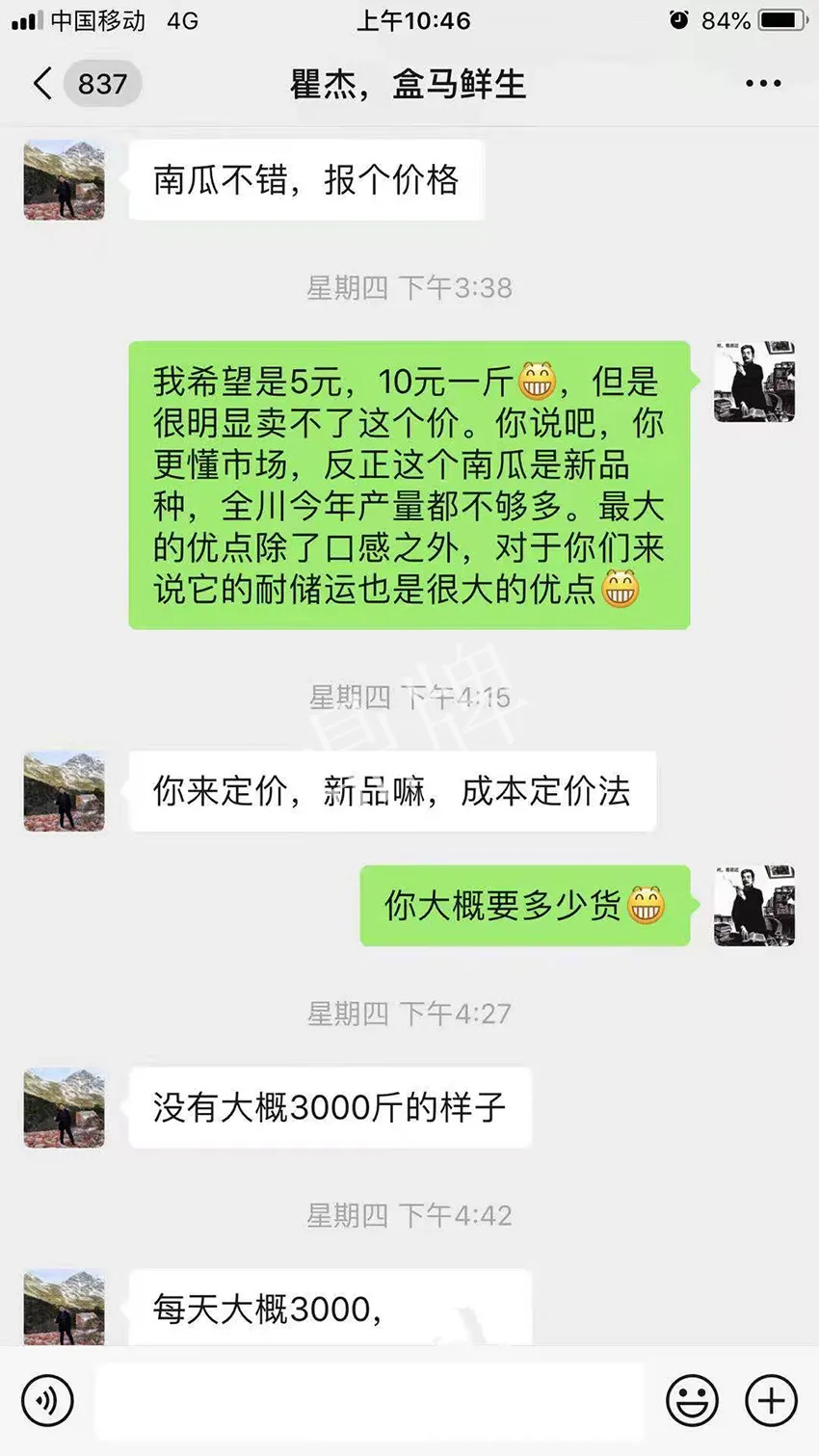 四川農(nóng)戶今年種“健美蜜本”南瓜產(chǎn)量高，品質(zhì)好，感覺巴適得很