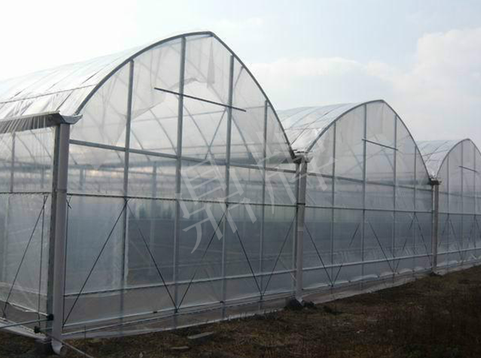 蔬菜種子種植戶客戶點評-鼎牌瓠瓜上市早，地頭批發(fā)價達(dá)到8元/斤，種植基地王老板告訴您！