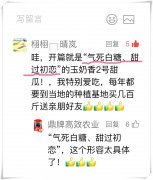 蔬菜種子種植戶客戶點(diǎn)評(píng)-“氣死白糖，甜過(guò)初戀”，您知道或體驗(yàn)過(guò)這句話嗎